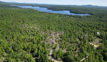 Lot 39 Southwest Brook Lane, Beddington, ME 04622