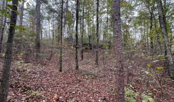 141 144 COUNTY RD 219, Arley, AL 35541
