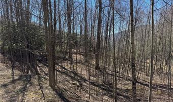 Lot # 70 Tall Tree Lane, Banner Elk, NC 28604