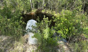 187 Ac Old River Rd, Baker, FL 32531