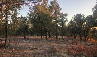 Tract B 266 Gallina Canyon Road, Valdez, NM 87580