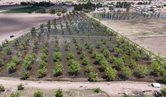 557 Aldaz Rd, Anthony, NM 88021