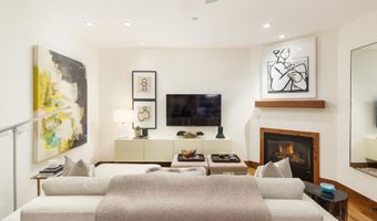 507 W Main St C101, Aspen, CO 81611