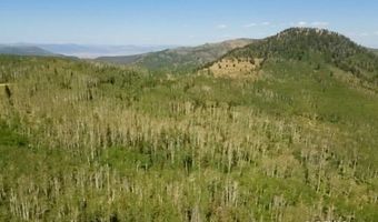 40 Acres Summit Mountain Rd, Brian Head, UT 84719