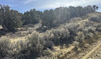County Road 2550, Aztec, NM 87410