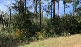 Drury Lane, Alford, FL 32420