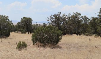 Lot 77 Western View Drive, Datil, NM 87821