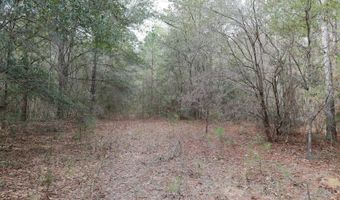 TBD Hwy. 29, Brooklyn, MS 39425