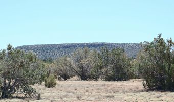 8850 W Fountain Ranch Rd, Ash Fork, AZ 86320