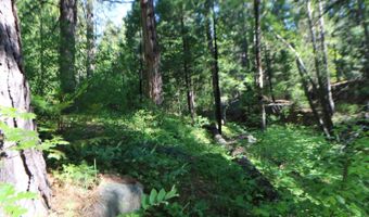 2159 Sierra Pkwy, Arnold, CA 95223