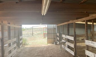 16903 N County Rd 2000, Abernathy, TX 79311
