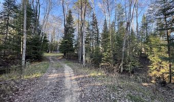 V/L Wildwood Road lot 1, Alger, MI 48610