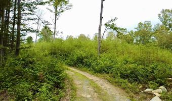 224 Arrau Rd, Andover, VT 05143