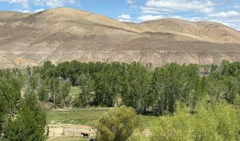 190 Meadow Rd, Challis, ID 83226