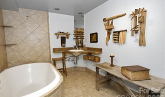 30 Maney Ave, Asheville, NC 28804