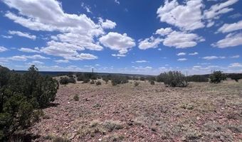 41 Indian Drive CR 8062, Concho, AZ 85924