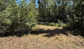 20181 N Fork River Road Lot 6 7 8, Abingdon, VA 24210