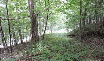 103 Chucks Ln, Bakersville, NC 28705