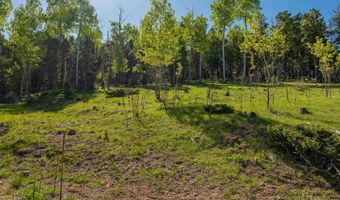 Lot 437 El Camino Real, Angel Fire, NM 87710