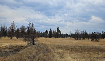 Parazoo Trail Lot 15, Bly, OR 97622