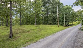 PARCEL 2 SIPSEY PINES ROAD, Arley, AL 35541