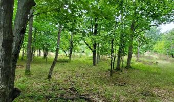 V/L 20AC Monaghan Point Road, Alpena, MI 49707