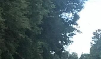 Izlar Street, Blackville, SC 29817