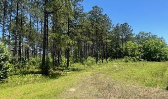 2423 A East Lincoln Rd, Brookhaven, MS 39601