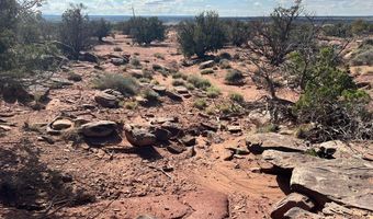 51 N9087, Concho, AZ 85924