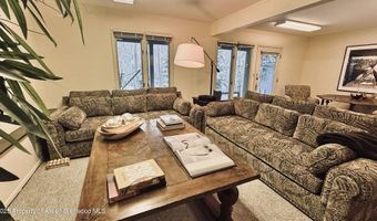 302 Roaring Fork Dr, Aspen, CO 81611