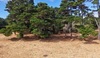 SW Edison Ave, Bandon, OR 97411