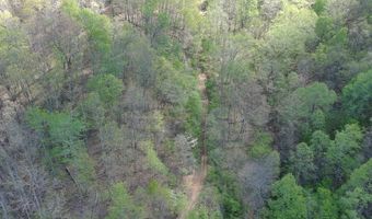 1000 Coon Fork Rd, Arnoldsburg, WV 25234