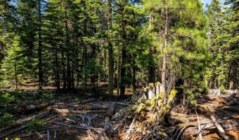 8735 Bering Rd, Alturas, CA 96101