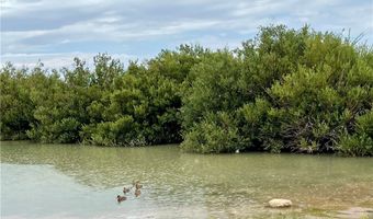 52 Birch Spring Rd, Cold Creek, NV 89124