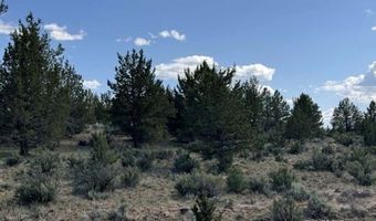 TL 300 HWY 140, Beatty, OR 97621