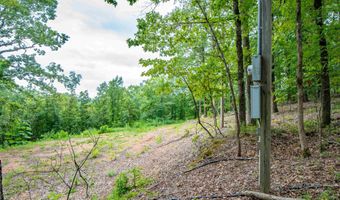 100 Block SPANISH MINE, Jessieville, AR 71909
