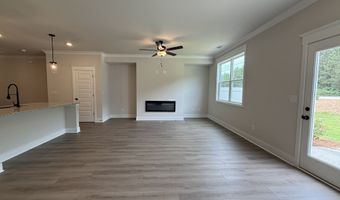 317 Brook Landing Cir, Auburn, GA 30011
