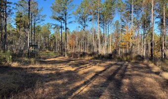 Hwy 9, Bruce, MS 38915