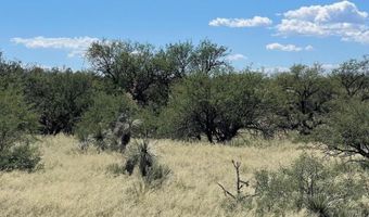 Tbd S shortino Lane A, Benson, AZ 85602