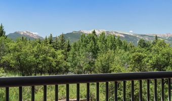 623 Johnson Dr, Aspen, CO 81611