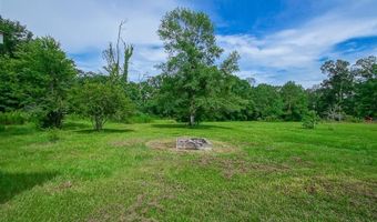 60112 N Snowcreek Rd, Amite, LA 70422