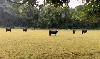 18347 MANOR CHURCH Rd, Boonsboro, MD 21713