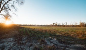 0 Chesapeake Rd Lot 3, Alma, GA 31510