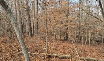 00001 Hwy 369, Ball Ground, GA 30107