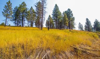 Summitview Dr, Ahsahka, ID 83520
