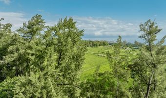 29-509 CHIN CHUCK Rd, Hakalau, HI 96710