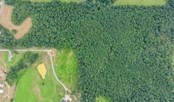 2495 County Road 1564, Baileyton, AL 35019