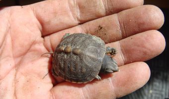 229 Pine Valley Dr, Bassett, VA 24055