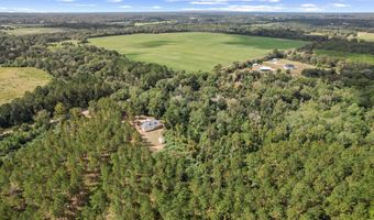 1289 Bruner Pond Rd, Ashford, AL 36312