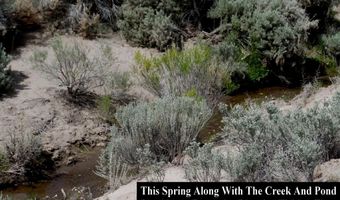 unspecified, Gerlach, NV 89412